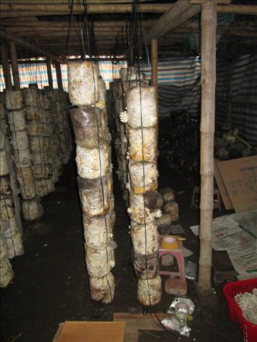 hẹn hò - codonminhanh84-Nam -Tuổi:32 - Độc thân-TP Hồ Chí Minh-Người yêu lâu dài