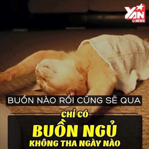 hẹn hò - MINH LÊ-Nữ -Tuổi:34 - Ly dị-Khánh Hòa-Tìm bạn tâm sự