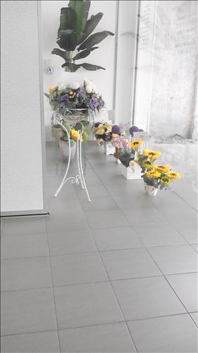 hẹn hò - LinaNguyen-Nữ -Tuổi:26 - Độc thân-TP Hồ Chí Minh-Người yêu lâu dài