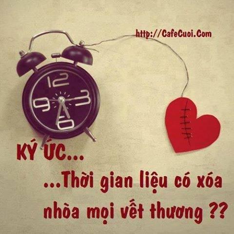 Gấu