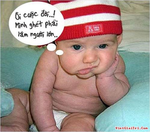 cauba234@gmail.com