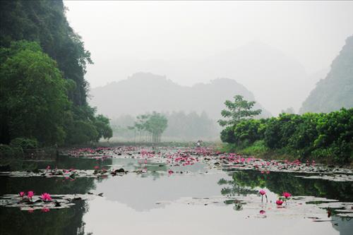 hẹn hò - Mây-Nữ -Tuổi:27 - Độc thân-TP Hồ Chí Minh-Người yêu lâu dài