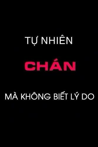 hẹn hò - chioiemmuon-Nam -Tuổi:34 - Độc thân-Lâm Đồng-Tìm bạn tâm sự