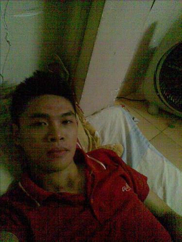 hoàng anh