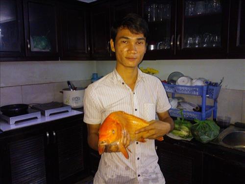 quangtoan