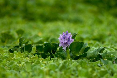 hẹn hò - Bé Bự-Nữ -Tuổi:22 - Độc thân-Hà Nội-Tìm bạn tâm sự