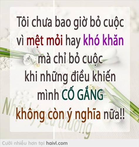 hẹn hò - huynh duc trung-Nam -Tuổi:27 - Độc thân-TP Hồ Chí Minh-Người yêu ngắn hạn