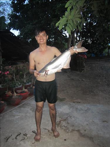 Thien Phong
