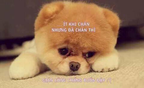 hẹn hò - bé lùn-Nữ -Tuổi:26 - Độc thân-TP Hồ Chí Minh-Tìm bạn tâm sự