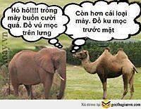 DUYÊN VỚI NỢ