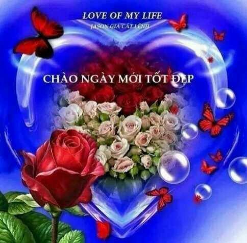 hẹn hò - hung -Nam -Tuổi:30 - Độc thân-TP Hồ Chí Minh-Tìm bạn tâm sự