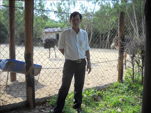 thanhphong2016