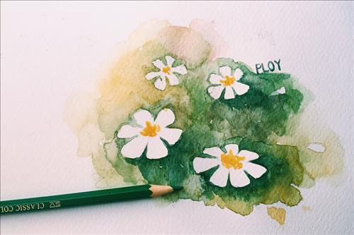 hẹn hò - Choo-Les -Tuổi:30 - Độc thân-Hà Nội-Tìm bạn bè mới