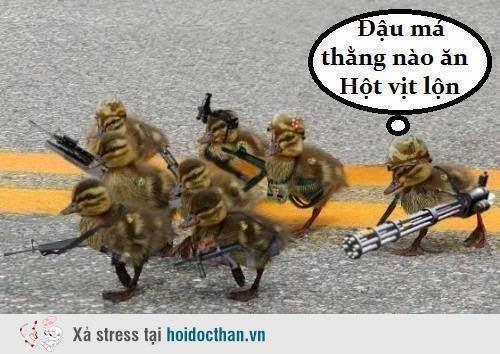 hẹn hò - Noah-Nam -Tuổi:38 - Ly dị-TP Hồ Chí Minh-Người yêu lâu dài