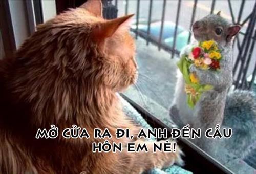 hẹn hò - niem vui va noi buon-Nam -Tuổi:28 - Độc thân-TP Hồ Chí Minh-Người yêu lâu dài