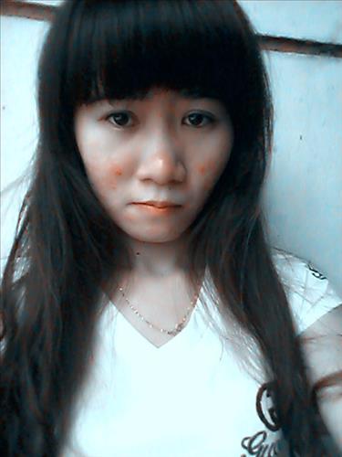 mèo mặt mụn