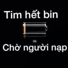 Bi simili