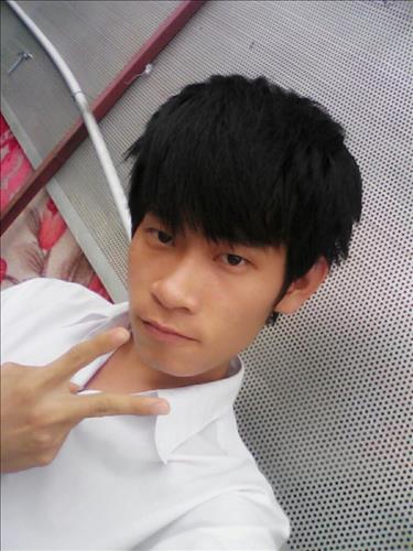 bo khùng