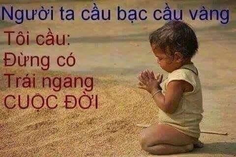 Sơn Nguyễn