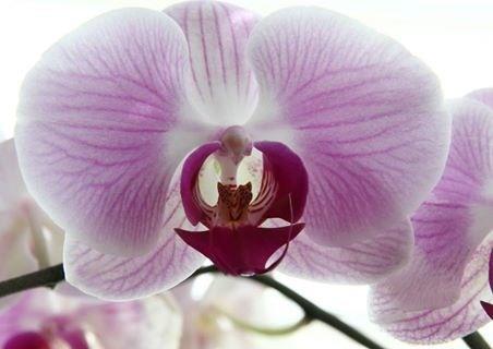 hẹn hò - Tina-Nữ -Tuổi:26 - Độc thân-TP Hồ Chí Minh-Tìm bạn tâm sự
