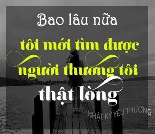 Quý Trần 