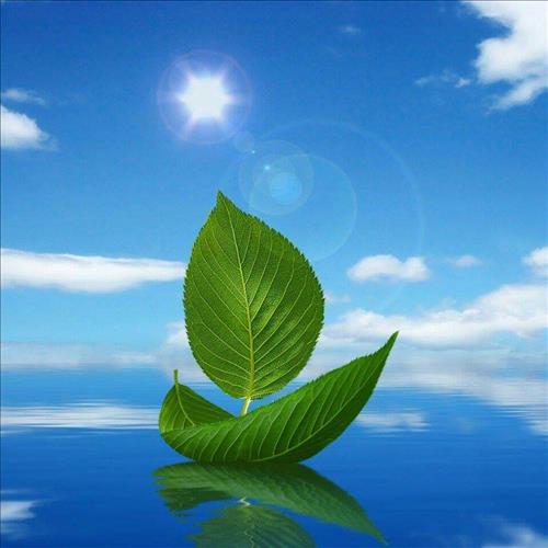 hẹn hò - Nguyễn Tân Toàn-Nam -Tuổi:25 - Độc thân-TP Hồ Chí Minh-Người yêu lâu dài