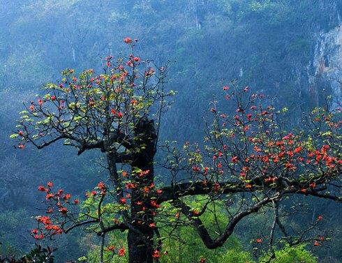 hẹn hò - Hải-Nam -Tuổi:46 - Độc thân-Hà Nội-Người yêu lâu dài