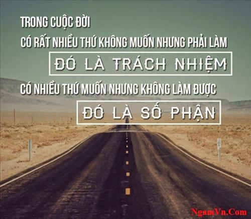 Người lạ