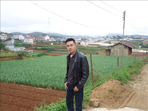 Anh_di_tim_em