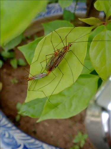 hẹn hò - phuctran-Nam -Tuổi:29 - Độc thân-Hà Nội-Tìm bạn tâm sự