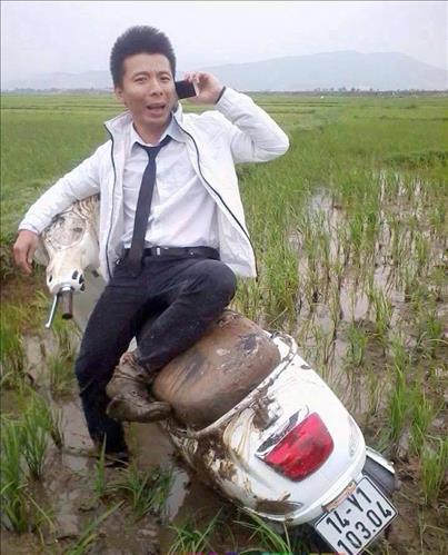 Tùng Lâm