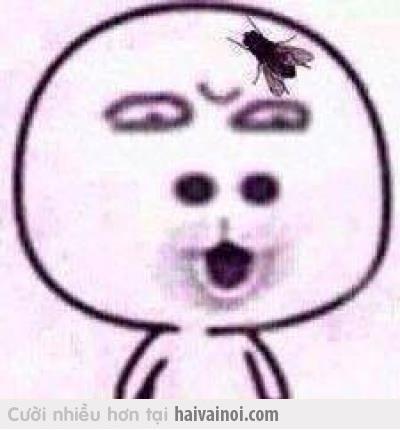 hiepmen
