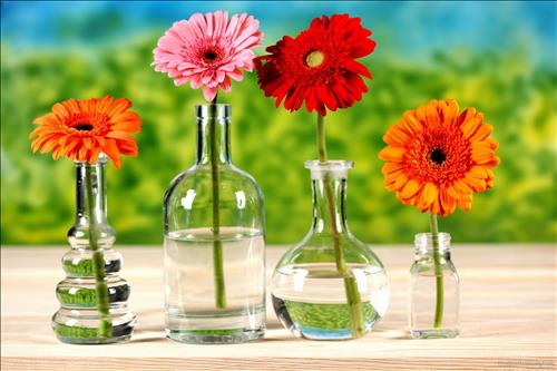 hẹn hò - linh-Nữ -Tuổi:27 - Độc thân-TP Hồ Chí Minh-Người yêu lâu dài