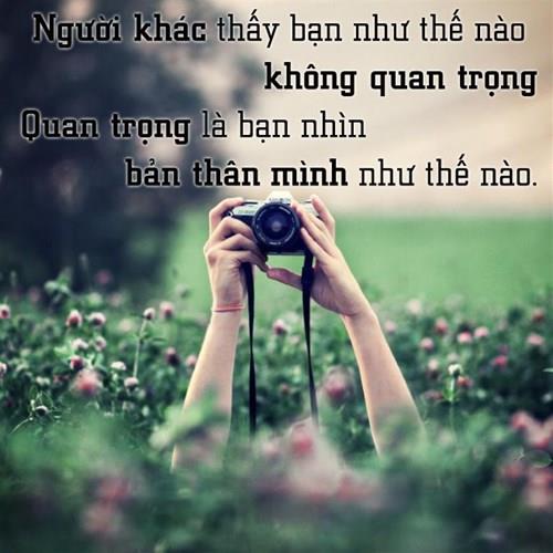 lê văn thảo