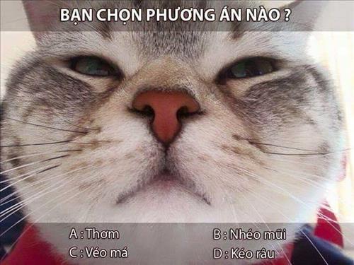 hẹn hò - Lucy-Nữ -Tuổi:24 - Độc thân-TP Hồ Chí Minh-Người yêu ngắn hạn