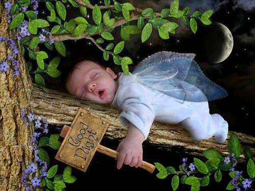 hẹn hò - HoHen-Nam -Tuổi:32 - Độc thân-TP Hồ Chí Minh-Người yêu lâu dài