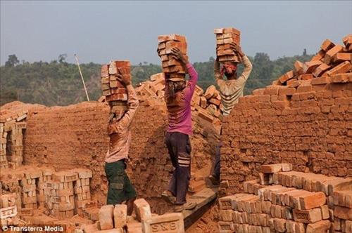 hẹn hò - giờ em đã biết-Les -Tuổi:51 - Độc thân-TP Hồ Chí Minh-Tìm bạn tâm sự