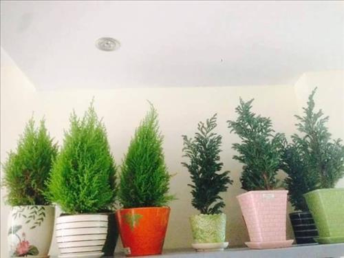 hẹn hò - Công tâm-Nam -Tuổi:50 - Độc thân-TP Hồ Chí Minh-Người yêu lâu dài