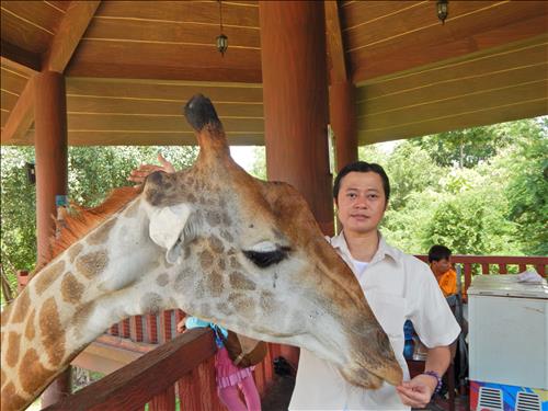 hẹn hò - Dũng Phạm-Nam -Tuổi:36 - Độc thân-TP Hồ Chí Minh-Người yêu lâu dài