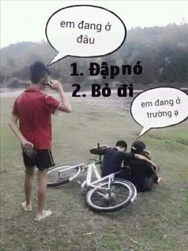 Gấu