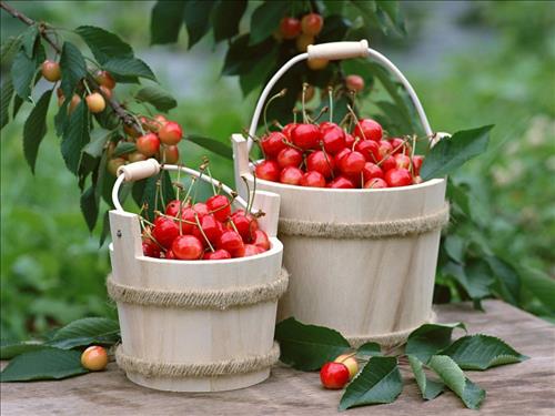 hẹn hò - thinh-Nam -Tuổi:29 - Độc thân-TP Hồ Chí Minh-Tìm bạn tâm sự