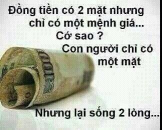 timlaimuaxuan