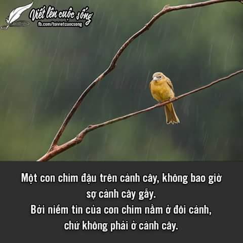 hẹn hò - Lucyfe-Nữ -Tuổi:24 - Độc thân-TP Hồ Chí Minh-Người yêu lâu dài