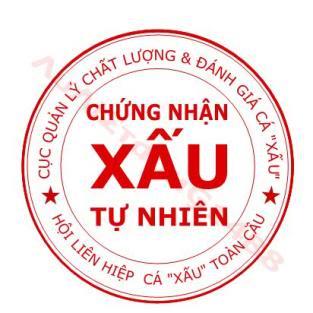 hẹn hò - Pauline-Lady -Age:28 - Single-TP Hồ Chí Minh-Friend - Best dating website, dating with vietnamese person, finding girlfriend, boyfriend.