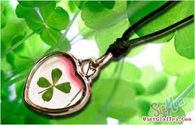 thai_chi_nguyen@yahoo.com