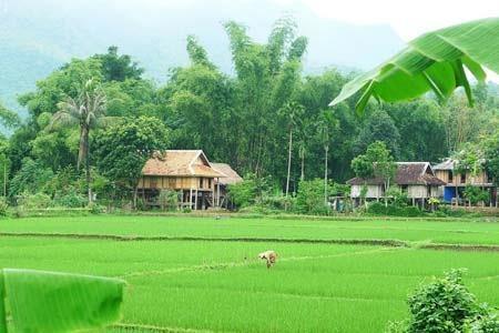 hẹn hò - NT-Nam -Tuổi:31 - Độc thân-TP Hồ Chí Minh-Người yêu lâu dài