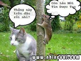 hẹn hò - huy phan-Nam -Tuổi:30 - Độc thân-TP Hồ Chí Minh-Người yêu lâu dài