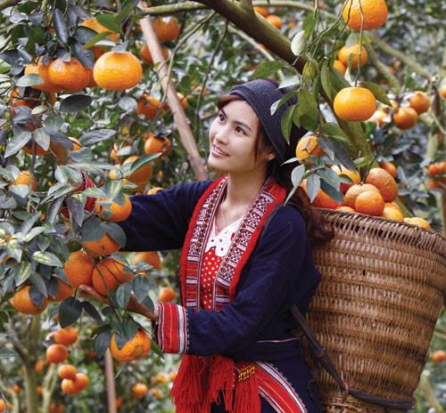 hẹn hò - ha quang-Nam -Tuổi:31 - Độc thân-TP Hồ Chí Minh-Người yêu lâu dài