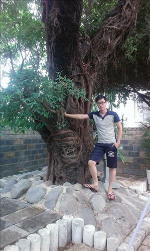 hoang nguyen