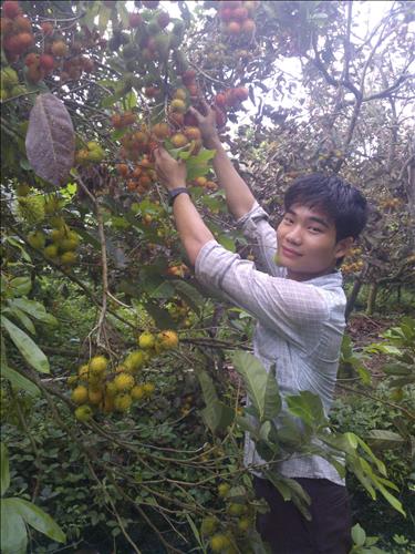 hẹn hò - Nguyễn Thiện Toàn-Nam -Tuổi:22 - Độc thân-TP Hồ Chí Minh-Người yêu lâu dài